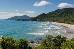 Ubatuba ondas: guia completo para acompanhar as melhores condições do surf